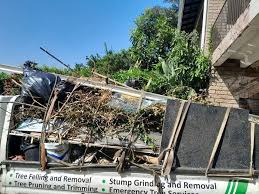 Best Yard Waste Removal  in Lake Wylie, SC