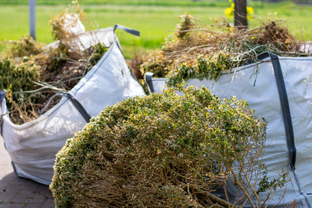 Best Moving and Downsizing Cleanouts  in Lake Wylie, SC